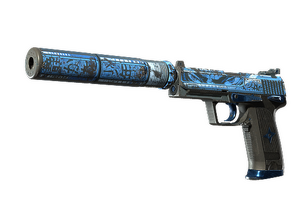 USP-S | Бесшумный выстрел (Закалённое в боях)